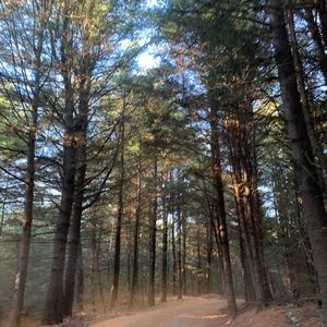 Meet your Posher, Rachael